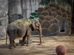 Ảnh bìa bài viết 910593