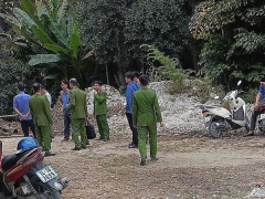 Ảnh bìa bài viết 910558