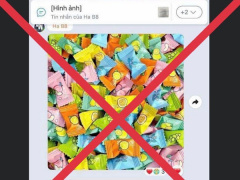 Ảnh bìa bài viết 910450