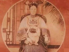 Ảnh bìa bài viết 910448