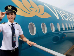 Ảnh bìa bài viết 910865