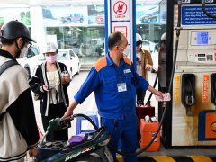 Ảnh bìa bài viết 911469