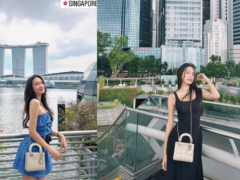 Ảnh bìa bài viết 911585