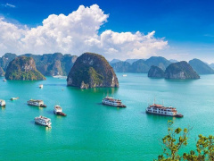 Ảnh bìa bài viết 911580