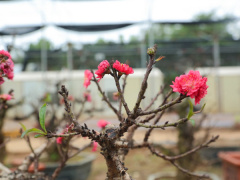 Ảnh bìa bài viết 911738