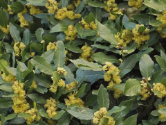 Ảnh bìa bài viết 911724