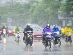 Ảnh bìa bài viết 911787