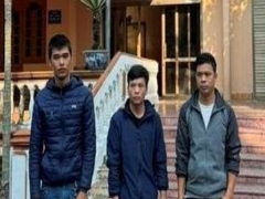 Ảnh bìa bài viết 911828