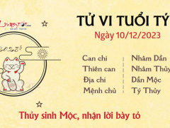 Ảnh bìa bài viết 911784