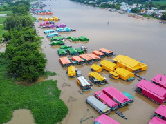 Ảnh bìa bài viết 911876