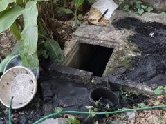 Ảnh bìa bài viết 912089