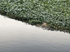 Ảnh bìa bài viết 912365