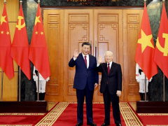 Ảnh bìa bài viết 912387