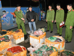 Ảnh bìa bài viết 912735