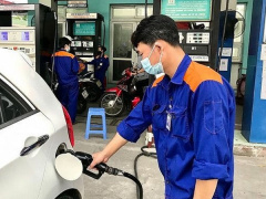 Ảnh bìa bài viết 912654