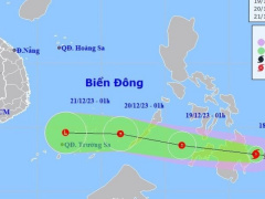 Ảnh bìa bài viết 913000