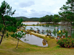 Ảnh bìa bài viết 913132