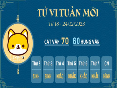 Ảnh bìa bài viết 913015