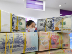 Ảnh bìa bài viết 913255
