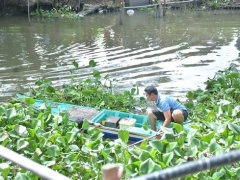 Ảnh bìa bài viết 913499