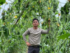 Ảnh bìa bài viết 913647