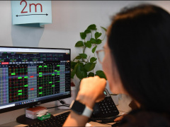 Ảnh bìa bài viết 913811