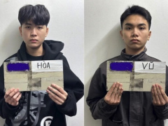 Ảnh bìa bài viết 913755