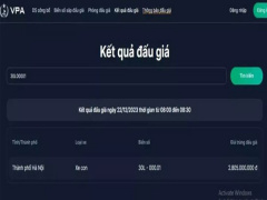 Ảnh bìa bài viết 914035