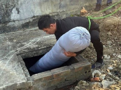 Ảnh bìa bài viết 914039