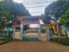 Ảnh bìa bài viết 914223