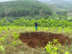 Ảnh bìa bài viết 914479