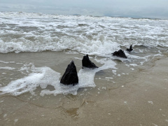 Ảnh bìa bài viết 914504