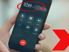 Ảnh bìa bài viết 914553