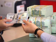 Ảnh bìa bài viết 914713