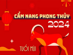 Ảnh bìa bài viết 914747