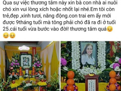 Ảnh bìa bài viết 914949