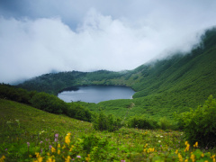 Ảnh bìa bài viết 914943