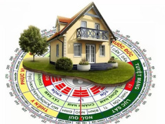 Ảnh bìa bài viết 915399