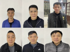 Ảnh bìa bài viết 916496