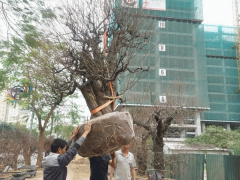 Ảnh bìa bài viết 916568