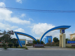 Ảnh bìa bài viết 916510