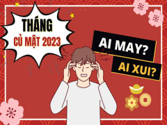 Ảnh bìa bài viết 916507