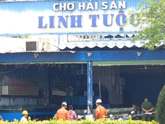 Ảnh bìa bài viết 916683