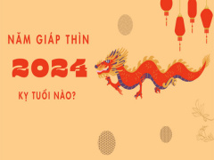 Ảnh bìa bài viết 916779