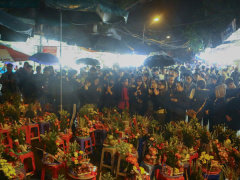 Ảnh bìa bài viết 916667