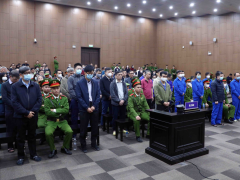 Ảnh bìa bài viết 916823