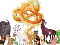 Ảnh bìa bài viết 917395