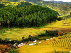 Ảnh bìa bài viết 917359