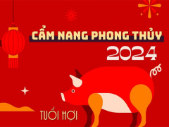Ảnh bìa bài viết 917343
