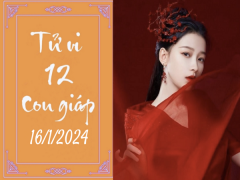 Ảnh bìa bài viết 917391